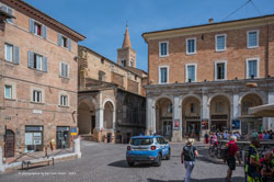 urbino